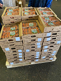 Продаю Сосиски куриные Халяль, ТМ Хорошее дело, РФ, от 500 кг, в Москве  Москва