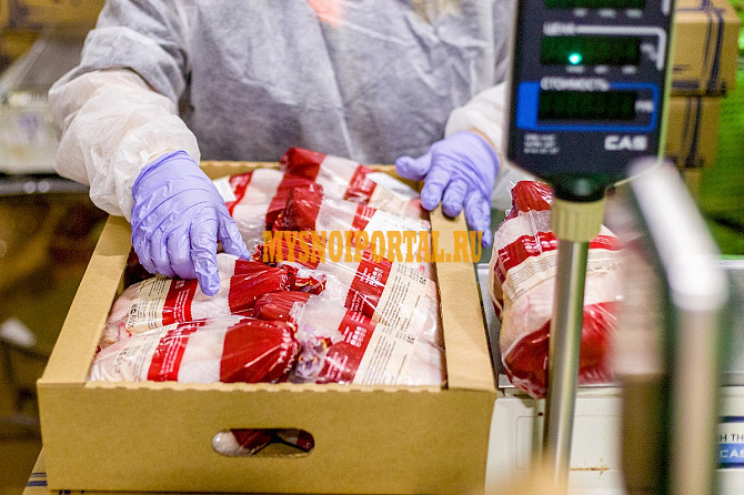 Филе грудки цб ГОСТ бренда ПТФ Верхневолжская Тверская, Охл/Зам, в Москве Москва - изображение 1