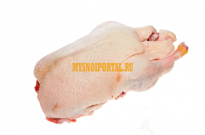 Продажа: Разделка утиная ГОСТ, зам, в Москве Москва - изображение 1