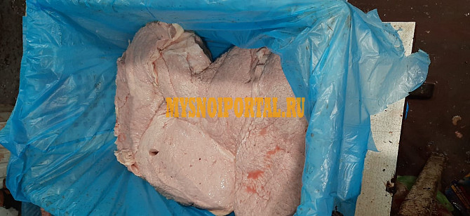 Куплю Легкое говяжье зам, от 100 кг в Истре Истра - изображение 1