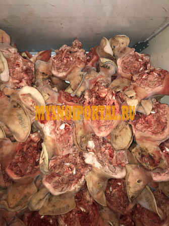 Продаю Головы свиные , РФ зам, от 100 кг в Ишимбае Ишимбай - изображение 1