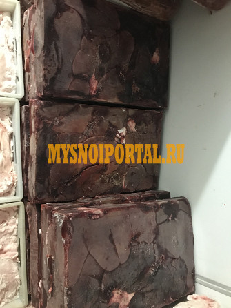 Продаю Печень свиная РФ зам, от 100 кг в Ишимбае Ишимбай - изображение 1
