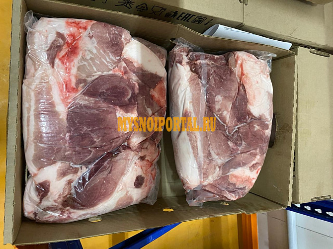 Лопатка свиная зам, категория - I (беконная) в Щёлково Щёлково - изображение 1