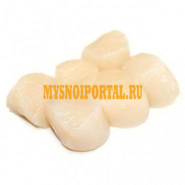 Продажа: Гребешки от ДВ Курилы, в Санкт-Петербурге Санкт-Петербург - изображение 1