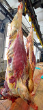 Продаю Полутуши Говяжьи коров  ГОСТ,  охл, в Калаче  доставка из г.Калач