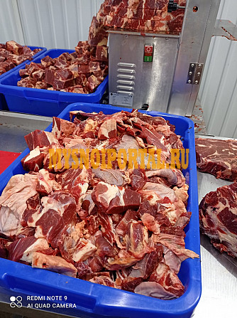 Продаю Односортная говядина ГОСТ, б/к, зам, в Рубцовске Рубцовск - изображение 1