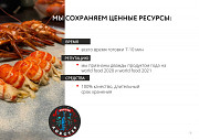 Продажа: Раки  от Раковая ферма 