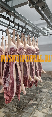 Продаю Полутуши Свиные зам, в Тольятти Тольятти - изображение 1