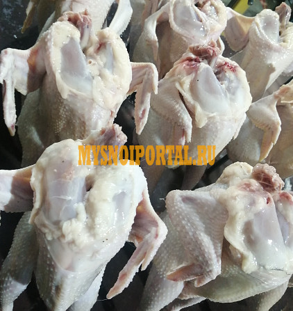 Куриные Тушки ГОСТ зам, в Барнауле Барнаул - изображение 1