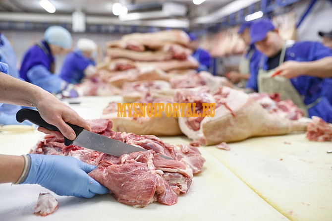 Продаю Вырезка свиная б/к, зам, в Москве Москва - изображение 1