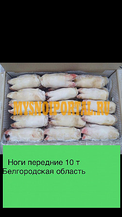 Продаю Ноги свиные РФ, ТУ передние, зам, от 100 кг в Старом Осколе Старый Оскол - изображение 1