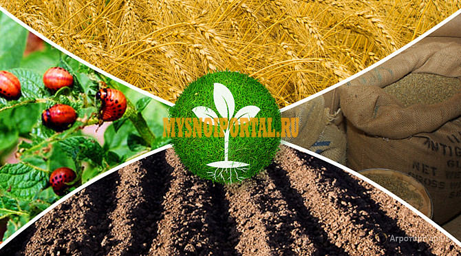 Покупаем Минеральные удобрения Новосибирск - изображение 1