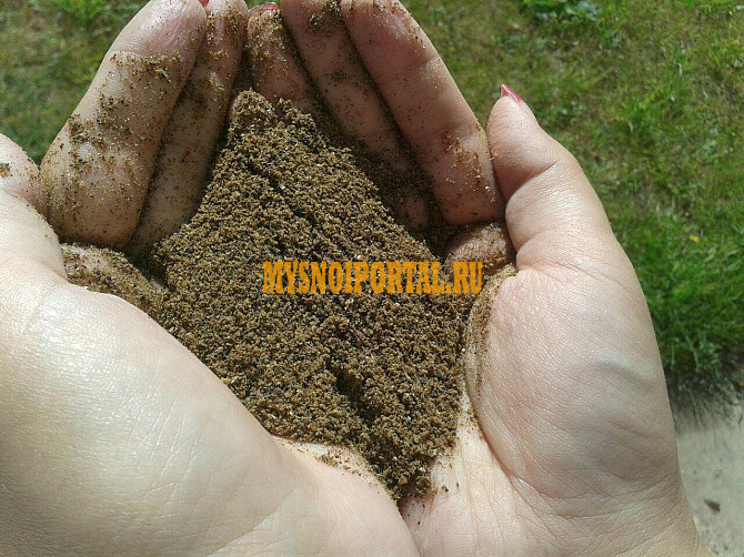 Мука рыбная протеин от 58-64% Москва - изображение 1