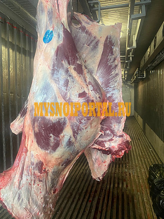 Продаю Полутуши Говяжьи коров, бычков Россия, ГОСТ, н/к, сушенное, в Москве Москва - изображение 1