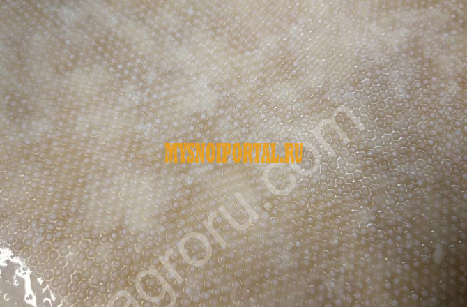 Сырное зерно Москва - изображение 1