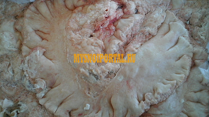 Мясо в ассортименте ГОСТ, зам, в Москве Москва - изображение 1