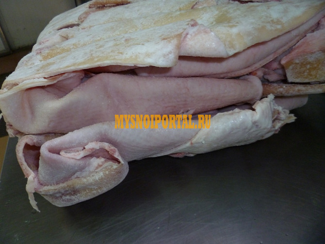 Продаю Шкура свиные РФ зам, от 20 тонн в Саратове Саратов - изображение 1