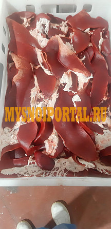 Продаю Селезенка свиная РФ Йола, зам, от 100 кг, от 5 тонн в Йошкар-Оле Йошкар-Ола - изображение 1