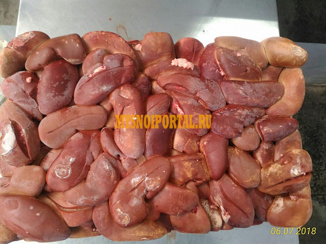 Продаю Почки свиные РФ Йола, зам, от 100 кг, от 2 тонн в Йошкар-Оле Йошкар-Ола - изображение 1