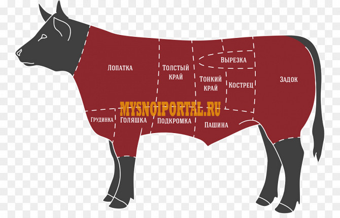 Четверти говяжьи ГОСТ, ТУ, охл, в Мичуринске Мичуринск - изображение 1