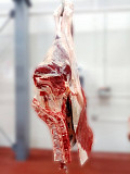 Продаю Полутуши Говяжьи коров, бычков, телят  ГОСТ, Халяль, blak angus, HEREFORD, шаролезская, лимузинская, Wagyu,  Охл/Зам, в Алматы  доставка из г.Алматы