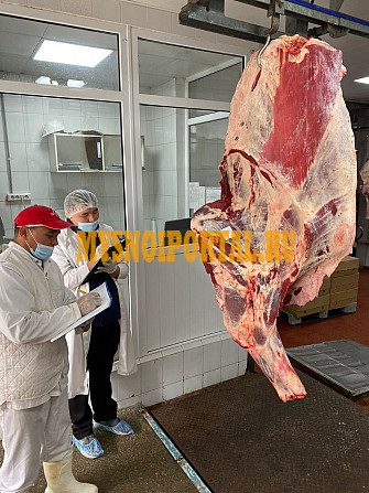 Продаю Полутуши Говяжьи коров, бычков, телят ГОСТ, Халяль, blak angus, HEREFORD, шаролезская, лимузинская, Wagyu, Охл/Зам, в Алматы Алматы - изображение 1