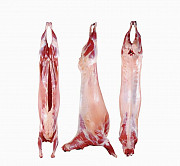 Продаю Полутуши Говяжьи коров, бычков, телят  ГОСТ, Халяль,  зам, в Москве  доставка из г.Москва