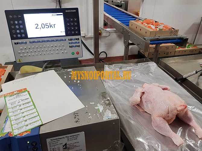 Куриные Тушки ГОСТ, Халяль, ТУ Охл/Зам, в Бишкеке Бишкек - изображение 1