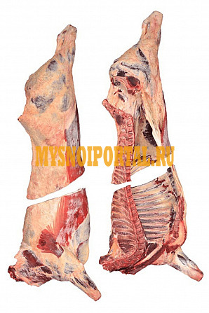 Четверти говяжьи ГОСТ, зам, в Мытищах Мытищи - изображение 1