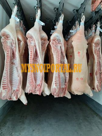 Полутуши Свиные охл, в Брюховецкой Брюховецкая - изображение 1