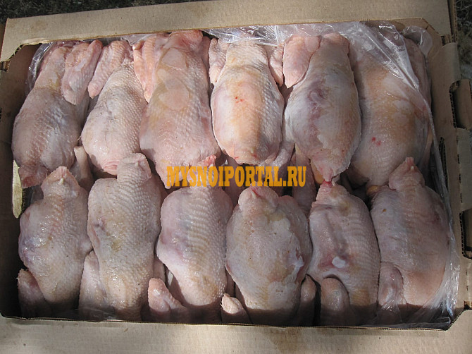 Суповая курица ГОСТ зам, в Москве Москва - изображение 1