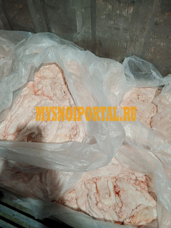 Продаю Жир Свиной -сырец РФ, зам, от 1 тонны в Мичуринске Мичуринск - изображение 1