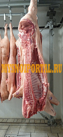 Свинина на кости категория - II в Уфе Уфа - изображение 1