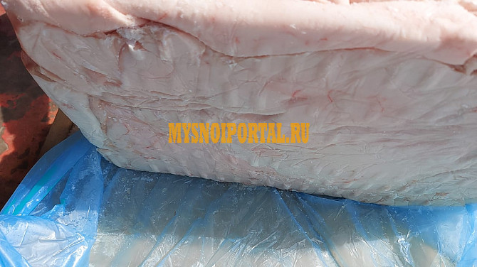 Продаю Шпик свиной Боковой, Кубань продукт зам в Санкт-Петербурге Санкт-Петербург - изображение 1