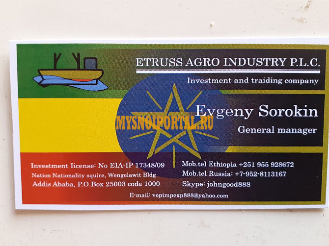 Продаю Полутуши Говяжьи коров ГОСТ, н/к, зам, в Новороссийске Новороссийск - изображение 1