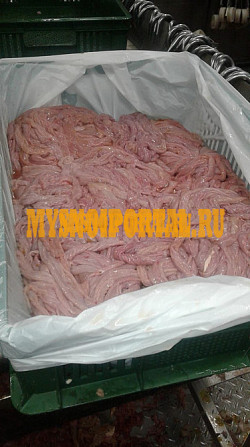 Куплю Кишки свиные Охл/Зам, от 100 кг по всей России Москва - изображение 1