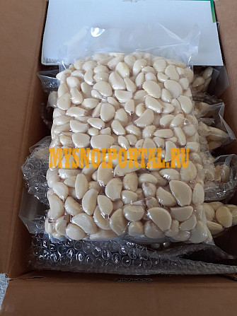 Чеснок свежий очищенный, вакуумная упаковка Челябинск - изображение 1