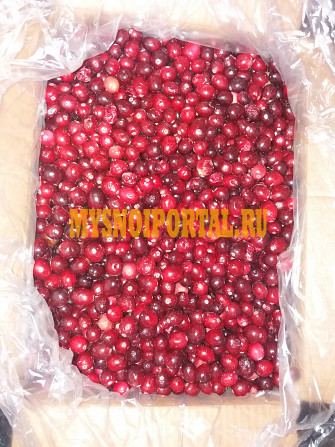 Клюква замороженная. Оптом, в розницу Челябинск - изображение 1