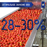 Томатная паста 245 кг., 28-30% brix, Cold Break, в асептическом мешке в металлической бочке (Китай) Белгород