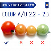 Томатная паста 245 кг., 28-30% brix, Cold Break, в асептическом мешке в металлической бочке (Китай) Белгород