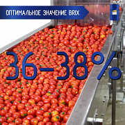 Томатная паста 245 кг., 36-38% brix, Cold Break, в асептическом мешке в металлической бочке (Китай) Белгород