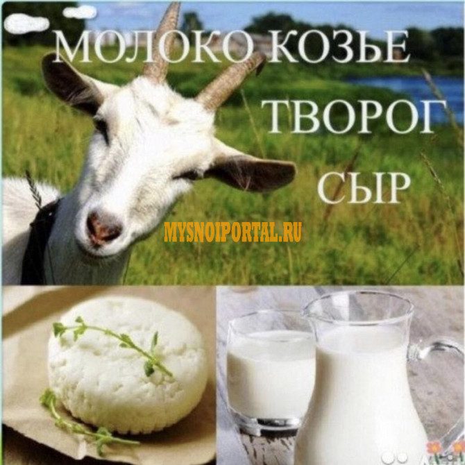 Козье молоко и продукты из него Санкт-Петербург - изображение 1