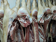 Продаю Туши свиные н/к, зам, категория - II (мясная – молодняк) в Москве  доставка из г.Москва
