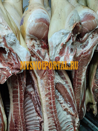 Туши свиные н/к, зам, категория - II (мясная – молодняк) в Москве Москва - изображение 1