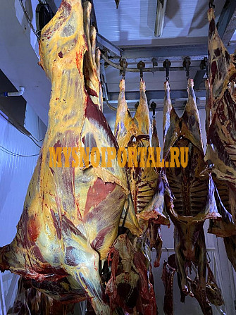 Продаю Полутуши Говяжьи коров ГОСТ, н/к, охлажденное, в Москве Москва - изображение 1