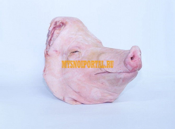 Продаю Головы свиные , РФ зам, от 1 тонны в Вязьме Вязьма - изображение 1