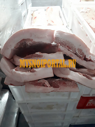 Продаю Шпик свиной Хребтовый, зам в Новосибирске Новосибирск - изображение 1