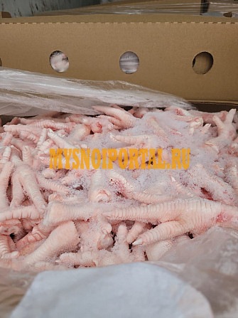 Ноги куриные зам, А "FEET" и "PAWS" от 20 тонн в Москве Москва - изображение 1