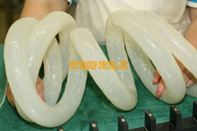 Продаю Баранья черева 22-24 м оптом в Москве Москва - изображение 1