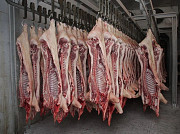Продаю Полутуши Свиные охл, категория - II (мясная – молодняк) в Ростове-на-Дону  доставка из г.Ростов-на-Дону